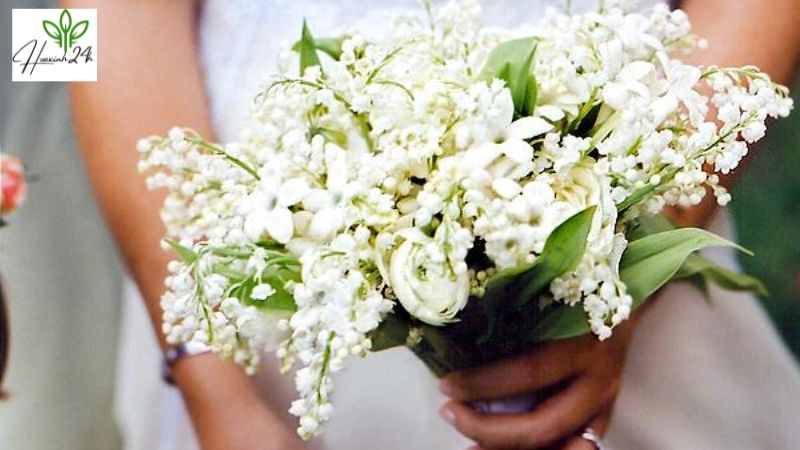 Hoa cưới linh lan giá bao nhiêu?