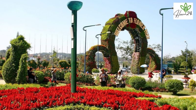 Vườn hoa trung tâm thành phố Đà Lạt